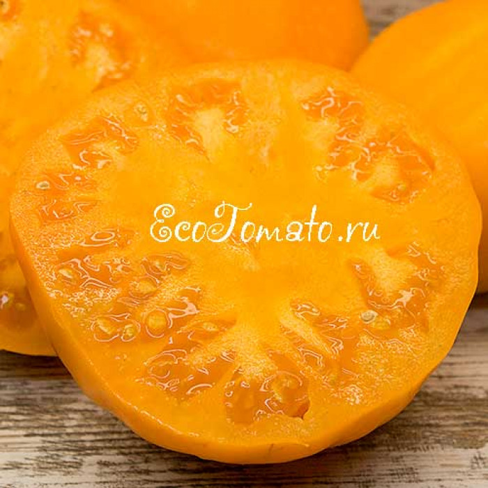 Dom2 қатысушылары онлайн жыныстық қатынасқа түседі